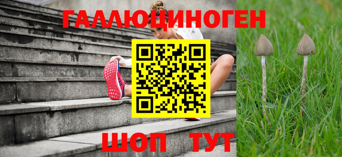 Псилоцибиновые грибы Magic Shrooms  Вход с VPN  Торжок 